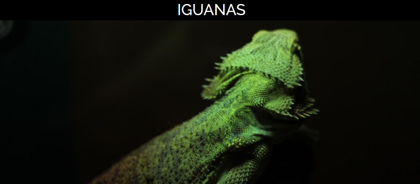 Front page página desafío 3