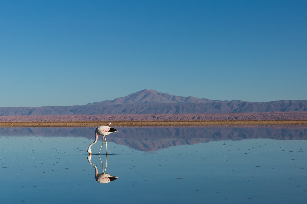 alojamiento San Pedro de Atacama
